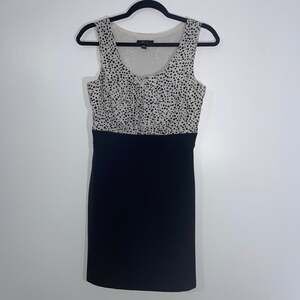 BCX Mixed Media Black and White Polka Dot Sleeveless Career Dress